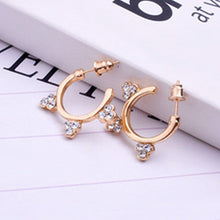Load image into Gallery viewer, Flower Crystal Hoop Earrings