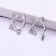 Load image into Gallery viewer, Flower Crystal Hoop Earrings